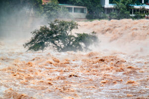 Photo of a place flooded. Overflow.